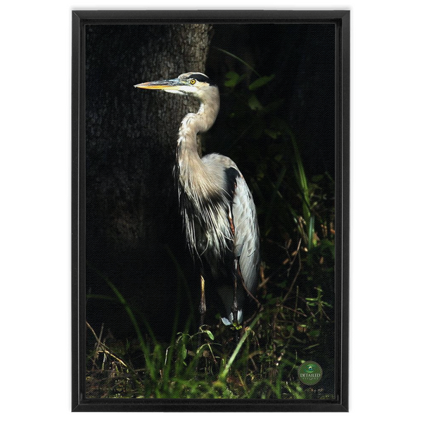 FramedCanvs-16x24-Black-20240807233747158