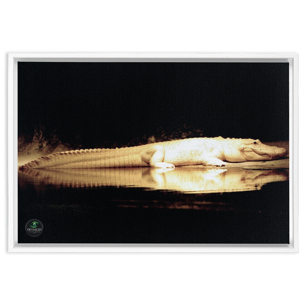 FramedCanvs-16x24-White-2024080722583729