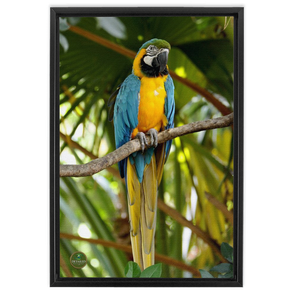 FramedCanvs-16x24-Black-20240809151420664
