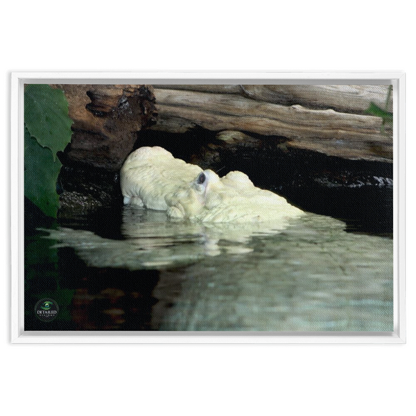 FramedCanvs-16x24-White-20240807235003893