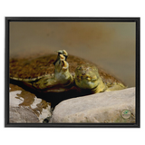 FramedCanvs-16x20-Black-20210808183104732