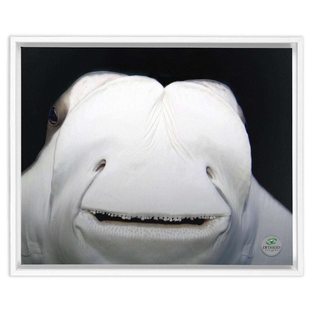 FramedCanvs-16x20-White-20210808184214919