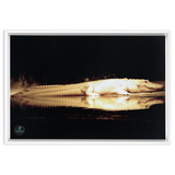 FramedCanvs-16x24-White-2024080722583729