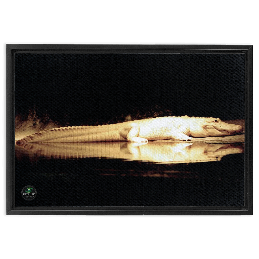FramedCanvs-16x24-Black-2024080722583729