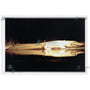 24x16 FRAMED Image Wrap Canvas --New Orleans Albino Alligator