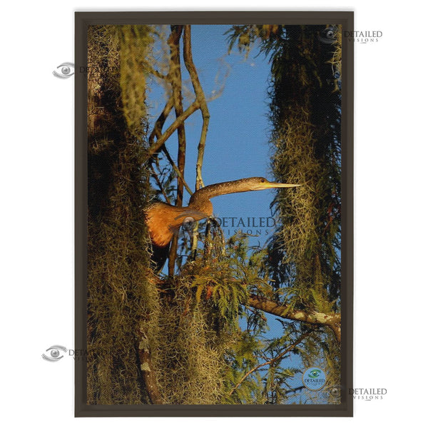 16x24 FRAMED Image Wrap Canvas -- Anhinga