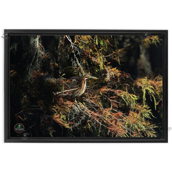 24x16 FRAMED Image Wrap Canvas --Green Herron