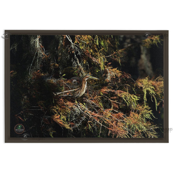 24x16 FRAMED Image Wrap Canvas --Green Herron