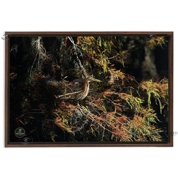 24x16 FRAMED Image Wrap Canvas --Green Herron