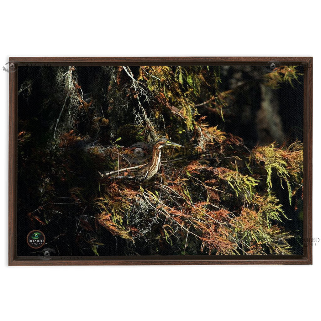 24x16 FRAMED Image Wrap Canvas --Green Herron