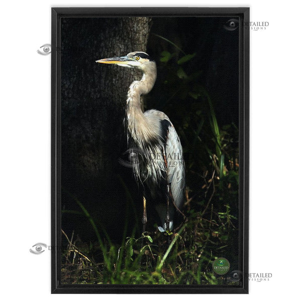 16x24 FRAMED Image Wrap Canvas -- Grey Heron