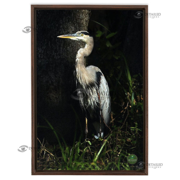 16x24 FRAMED Image Wrap Canvas -- Grey Heron