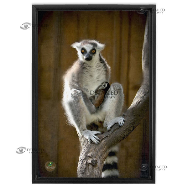 16x24 FRAMED Image Wrap Canvas -- Mama Lemur & Baby