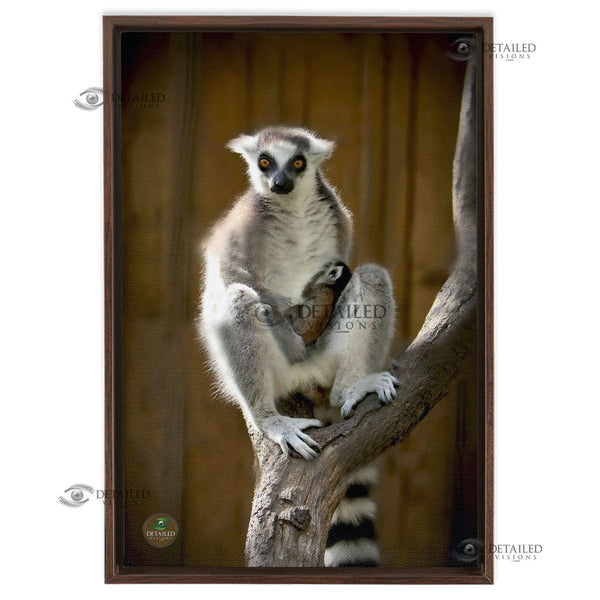 16x24 FRAMED Image Wrap Canvas -- Mama Lemur & Baby
