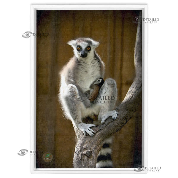 16x24 FRAMED Image Wrap Canvas -- Mama Lemur & Baby