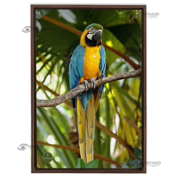 16x24 FRAMED Image Wrap Canvas -- Parrot