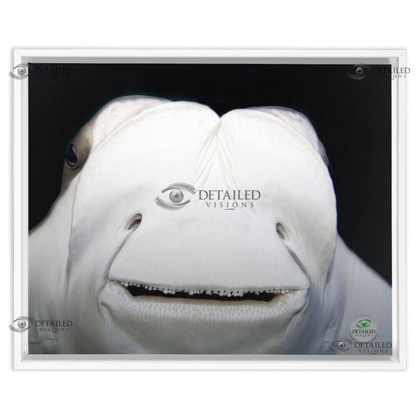 16x20 FRAMED Image Wrap Canvas -- Smiling STINGRAY