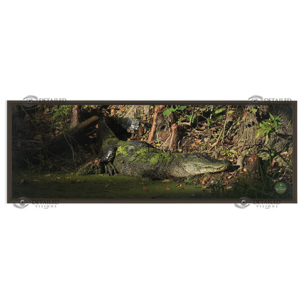 12x36 FRAMED Image Wrap Canvas -- SUNSET GATOR