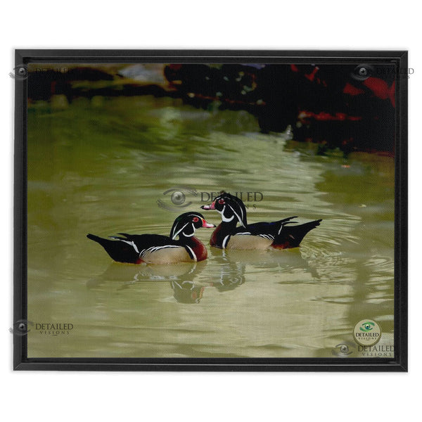 16x20 FRAMED Image Wrap Canvas --  2 WOOD DUCKS