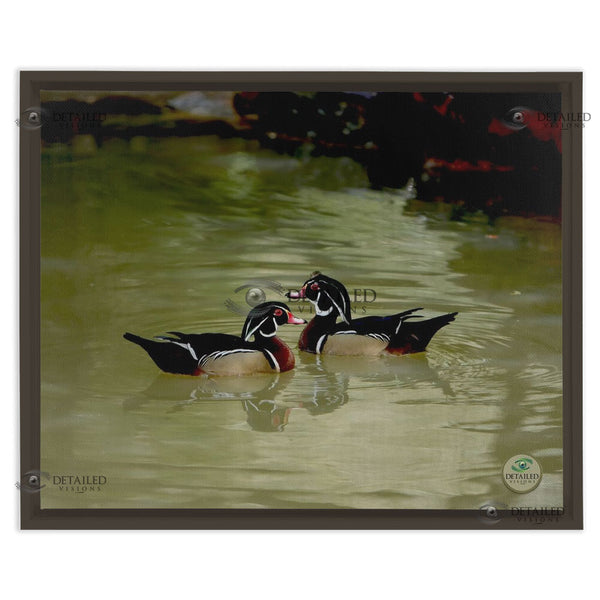 16x20 FRAMED Image Wrap Canvas --  2 WOOD DUCKS