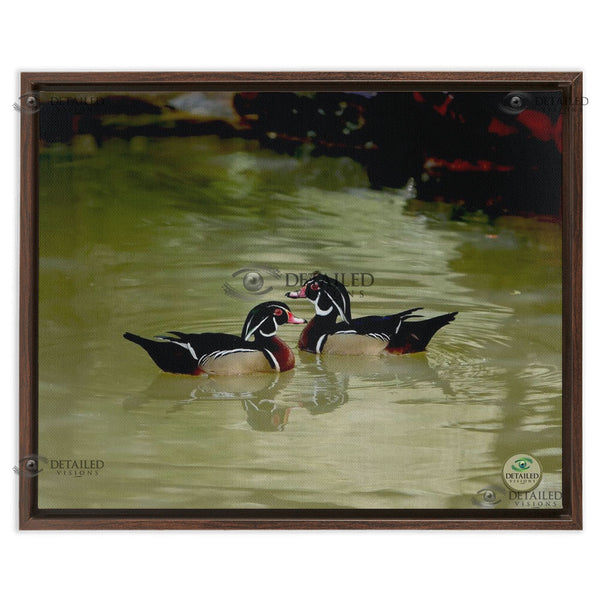 16x20 FRAMED Image Wrap Canvas --  2 WOOD DUCKS