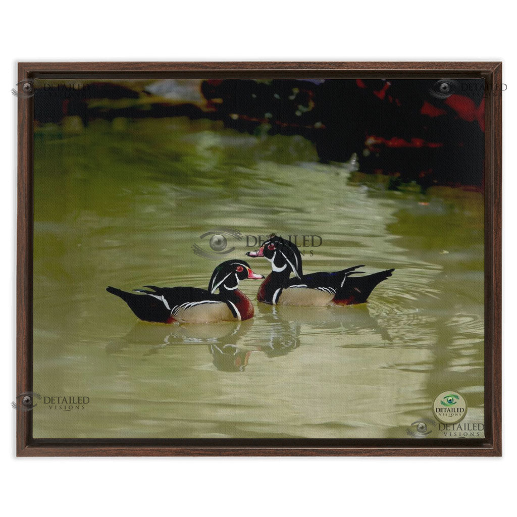 16x20 FRAMED Image Wrap Canvas --  2 WOOD DUCKS